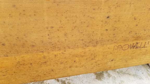mold-1864 mold