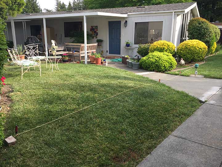 before photo of arbor #8-3 in Napa County, CA. prowell