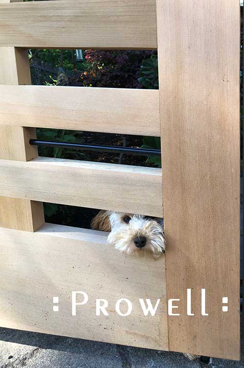 custom wood garden fence #8 with dog