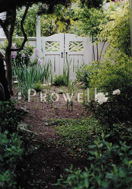 garden setting showing the colonial gates in marin county, california