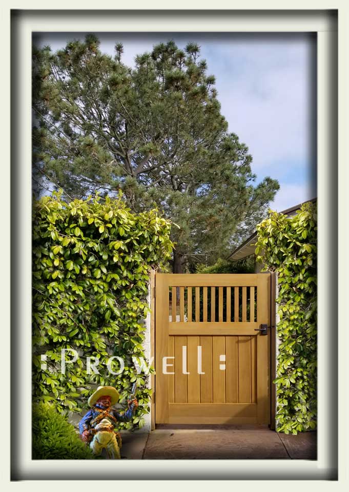 wood gate style #5-13 in San Diego, california