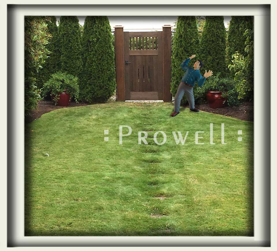 Custom Wood Garden Gate #5-14 in Seattle. Prowell