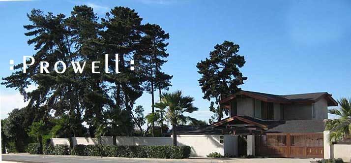 an overview photograph of the site in La Jolla, CA of wood gates #94.