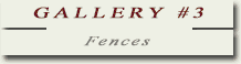 Gallery #3 Fences