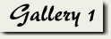 link to gallery #1