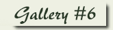 link to Gallery #6