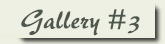 gallery #3