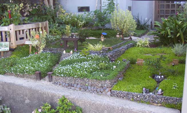 Contributor's Garden G