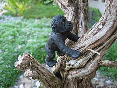 gar_4 Contributor's Garden ll