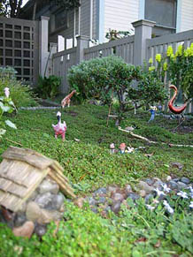gar_7 Contributor's Garden nn