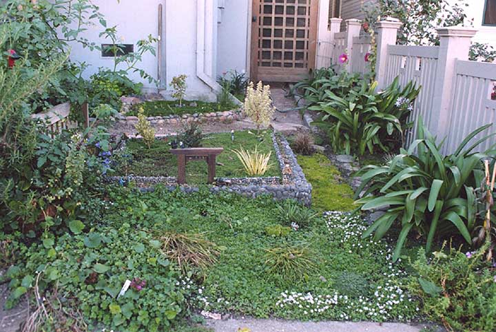 Contributor's Garden D