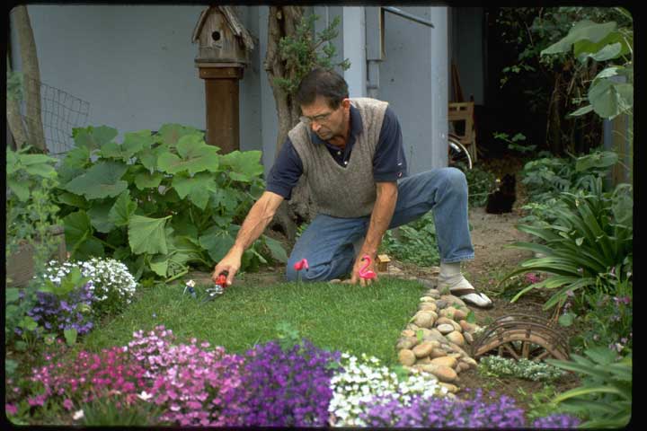 Contributor's Garden C