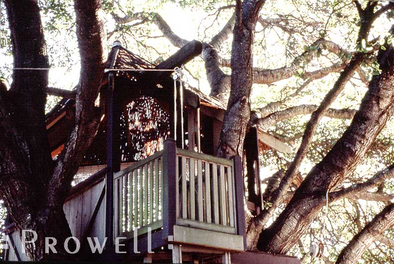 treehouse_3 treehouse