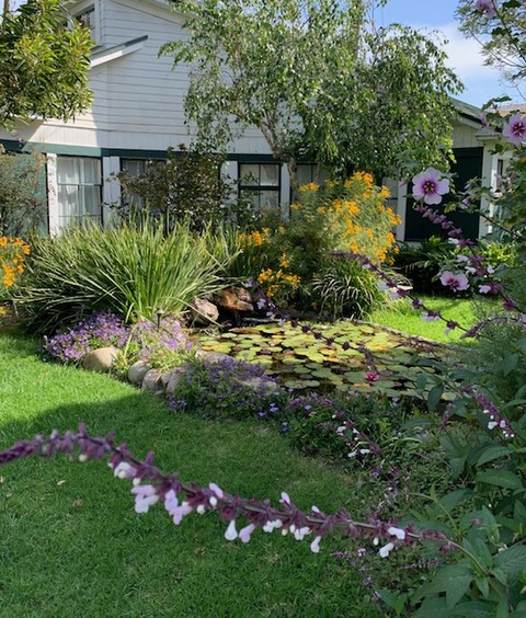 site photo of wood gate in santa monica, CA